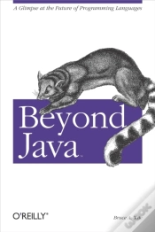 Capa do artigo Beyond Java