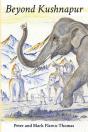 Beyond Kushnapur - Preview