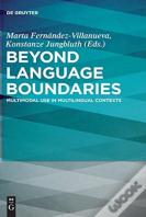 Beyond Language Boundaries