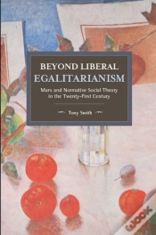 Capa do artigo Beyond Liberal Egalitarianism