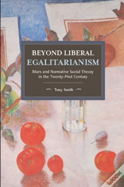 Capa do artigo Beyond Liberal Egalitarianism