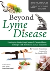 Capa do artigo Beyond Lyme Disease: Healing The Underly