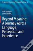 Beyond Meaning: A Journey Across Language, Perception And Experience