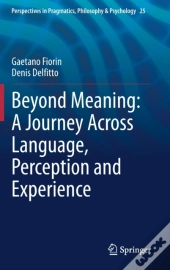 Beyond Meaning: A Journey Across Language, Perception And Experience