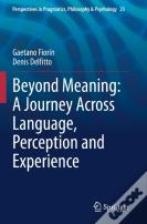 Beyond Meaning: A Journey Across Language, Perception And Experience