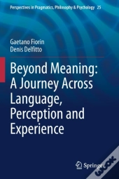 Beyond Meaning: A Journey Across Language, Perception And Experience