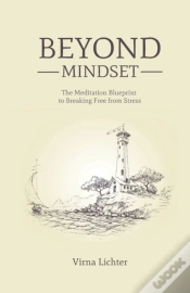 Capa do artigo Beyond Mindset