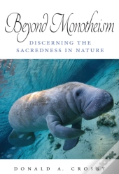 Beyond Monotheism