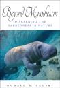 Beyond Monotheism - Preview