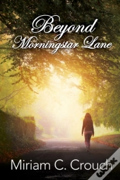 Capa do artigo Beyond Morningstar Lane