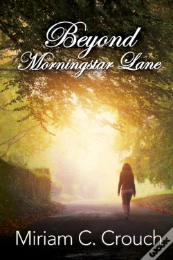 Capa do artigo Beyond Morningstar Lane
