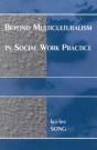Beyond Multiculturalism In Social Work Practice - Preview