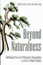 Beyond Naturalness - Preview