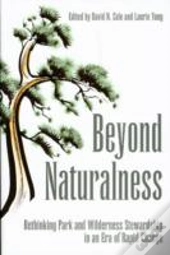 Beyond Naturalness
