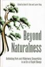 Beyond Naturalness - Preview
