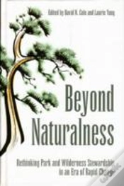 Capa do artigo Beyond Naturalness