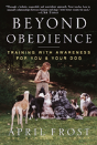 Beyond Obedience - Preview