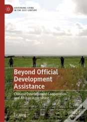 Capa do artigo Beyond Official Development Assistance