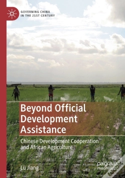 Capa do artigo Beyond Official Development Assistance