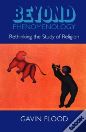 Capa do artigo Beyond Phenomenology