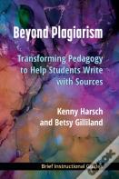 Beyond Plagiarism
