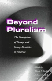 Beyond Pluralism