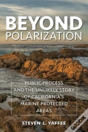 Capa do artigo Beyond Polarization