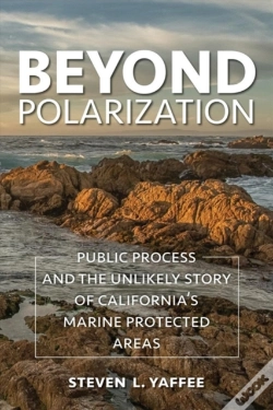 Capa do artigo Beyond Polarization