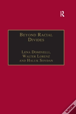 Capa do artigo Beyond Racial Divides