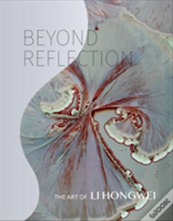 Capa do artigo Beyond Reflection