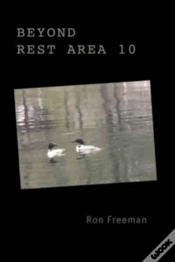 Capa do artigo Beyond Rest Area 10