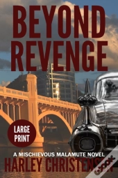 Beyond Revenge