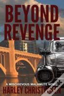 Beyond Revenge