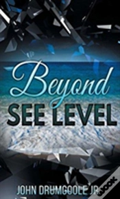 Capa do artigo Beyond See Level