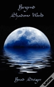Capa do artigo Beyond Shadow World