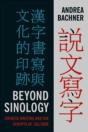 Beyond Sinology - Preview