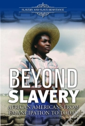 Capa do artigo Beyond Slavery