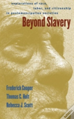 Capa do artigo Beyond Slavery