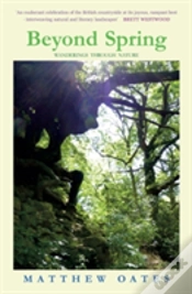 Capa do artigo Beyond Spring