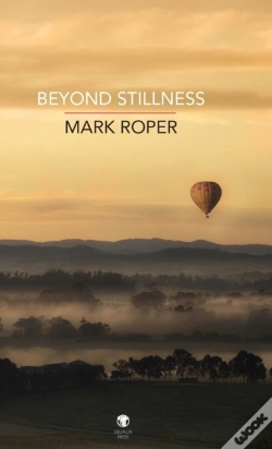 Capa do artigo Beyond Stillness