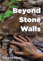 Beyond Stone Walls - Preview