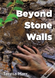 Capa do artigo Beyond Stone Walls