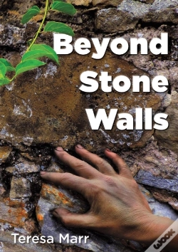 Capa do artigo Beyond Stone Walls