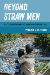 Capa do artigo Beyond Straw Men