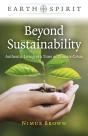 Beyond Sustainability - Preview