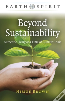Capa do artigo Beyond Sustainability