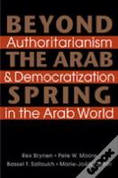 Beyond The Arab Spring