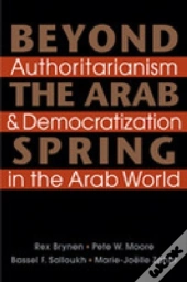 Beyond The Arab Spring