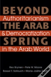Capa do artigo Beyond The Arab Spring
