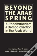 Beyond The Arab Spring